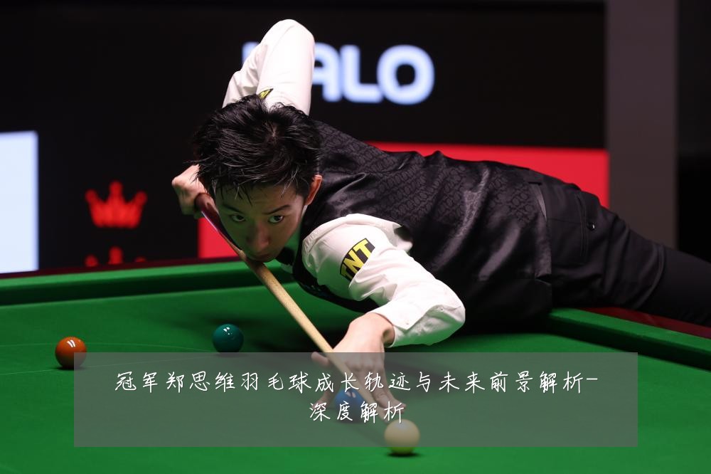 冠军郑思维羽毛球成长轨迹与未来前景解析-深度解析